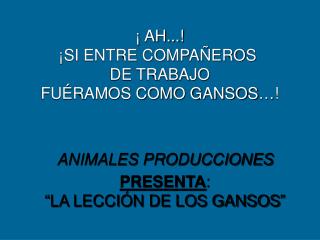 ¡ Ah...! ¡Si entre compañeros de trabajo fuéramos como gansos…!