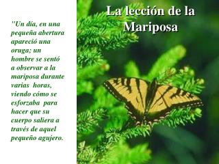 La lección de la Mariposa