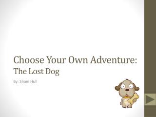 Choose Your Own Adventure: The Lost Dog