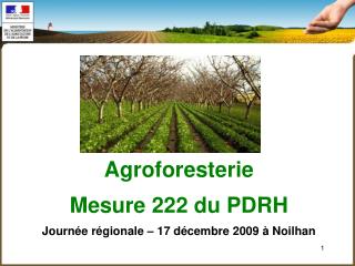 Agroforesterie Mesure 222 du PDRH Journée régionale – 17 décembre 2009 à Noilhan