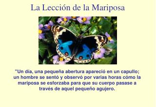 La Lección de la Mariposa