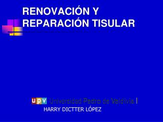 RENOVACIÓN Y REPARACIÓN TISULAR