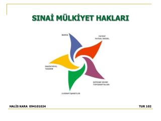 SINAİ MÜLKİYET HAKLARI