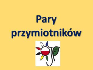 Pary przymiotników