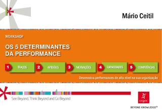 WORKSHOP OS 5 DETERMINANTES DA PERFORMANCE