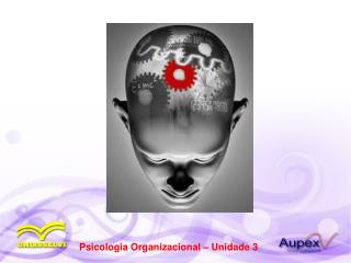 Psicologia Organizacional – Unidade 3