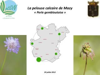 La pelouse calcaire de Mazy « Perle gembloutoise »