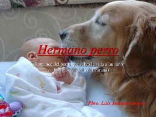 Hermano perro (Romance del perro que salvó la vida a un niño en las islas del delta del Paraná)