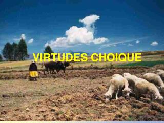 VIRTUDES CHOIQUE