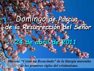 Domingo de Pascua de la Resurrección del Señor