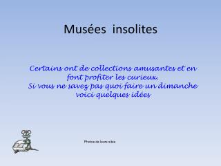 Musées insolites