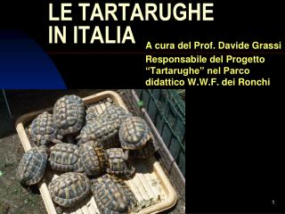 LE TARTARUGHE IN ITALIA