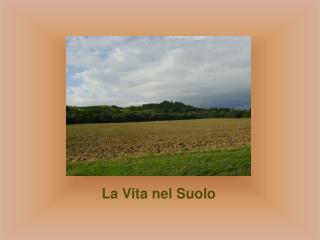 La Vita nel Suolo