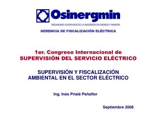 SUPERVISIÓN Y FISCALIZACIÓN AMBIENTAL EN EL SECTOR ELÉCTRICO