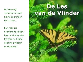 De Les van de Vlinder