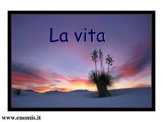 La vita