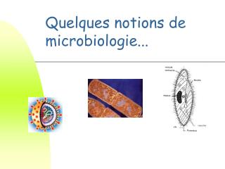 Quelques notions de microbiologie...