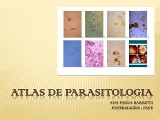 Atlas de parasitologia ANA PAULA BARRETO ENFERMAGEM - FAPE