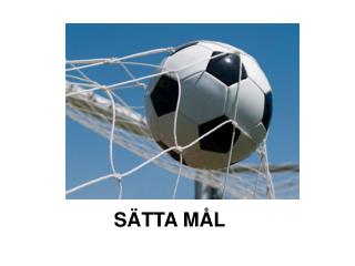SÄTTA MÅL