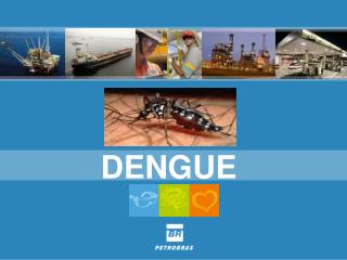 DENGUE