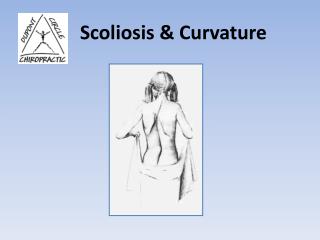 Scoliosis &amp; Curvature