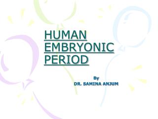 HUMAN EMBRYONIC PERIOD