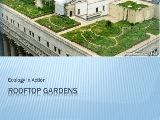 Rooftop Gardens