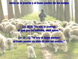 Jesús es la puerta y el buen pastor de las ovejas