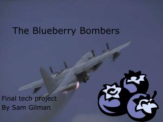 The Blueberry Bombers