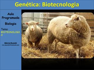 Aula Programada Biologia Tema: BIOTECNOLOGIA Márcia Buzetti Lia_buzetti@hotmail