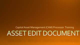 ASSET EDIT DOCUMENT