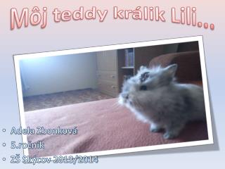 Môj t eddy králik Lili ...