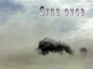 Crna ovca