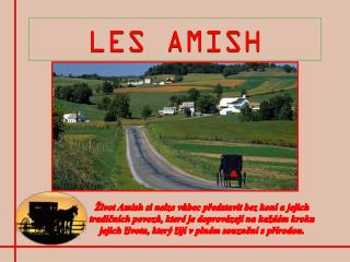 LES AMISH