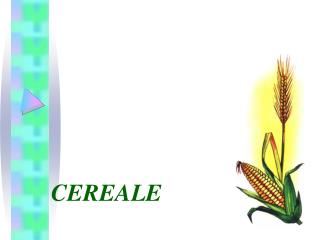 CEREALE