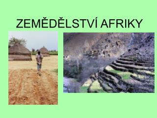 ZEMĚDĚLSTVÍ AFRIKY