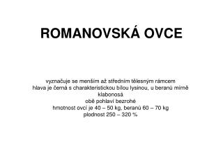 ROMANOVSKÁ OVCE