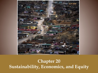 Chapter 20 Sustainability, Economics, and Equity
