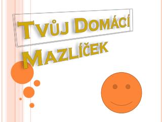 Tvůj Domácí Mazlíček