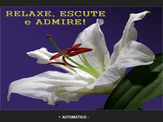 RELAXE, ESCUTE e ADMIRE!