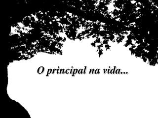 O principal na vida...