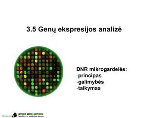 DNR mikrogardelės: principas galimybės taikymas