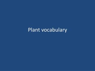Plant vocabulary