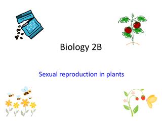 Biology 2B