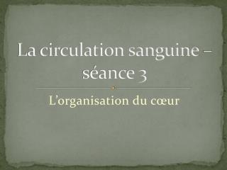 La circulation sanguine – séance 3