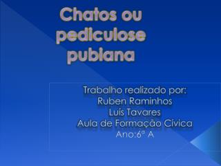 Trabalho realizado por: Ruben Raminhos Luís Tavares Aula de Formação Cívica Ano:6ª A