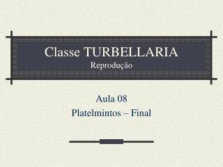 Classe TURBELLARIA Reprodução