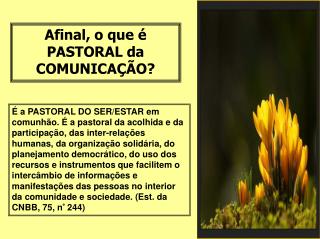 Afinal, o que é PASTORAL da COMUNICAÇÃO?