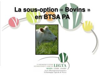 La sous-option « Bovins » en BTSA PA