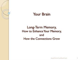 Your Brain Long-Term Memory, How to Enhance Your Memory, and How the Connections Grow